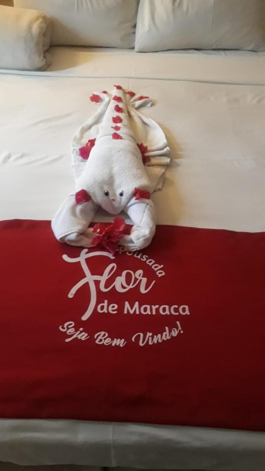 Pousada Flor De Maraca Pôrto das Galinhas 外观 照片