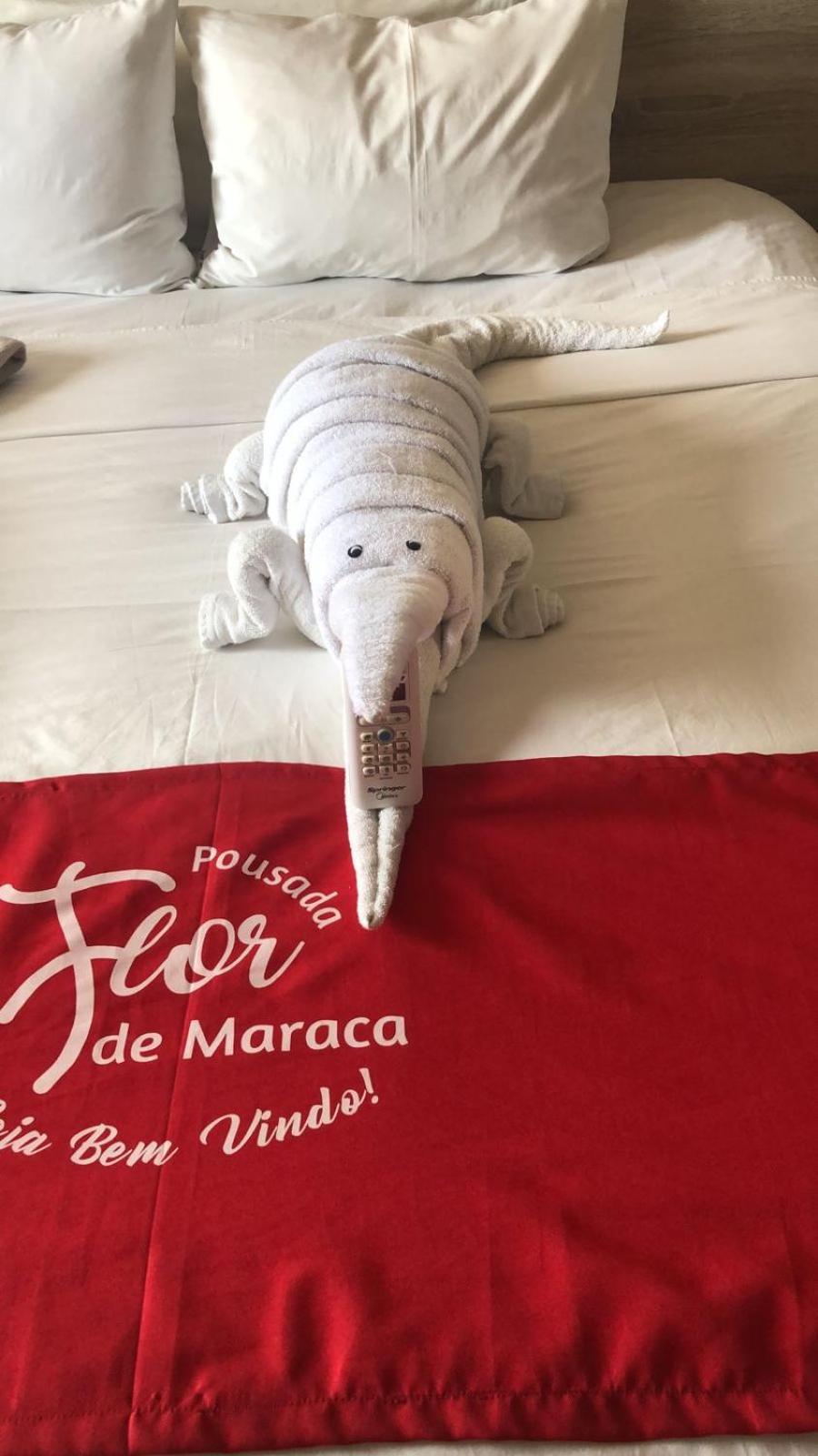 Pousada Flor De Maraca Pôrto das Galinhas 外观 照片